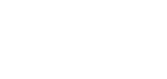 Rexo Systems